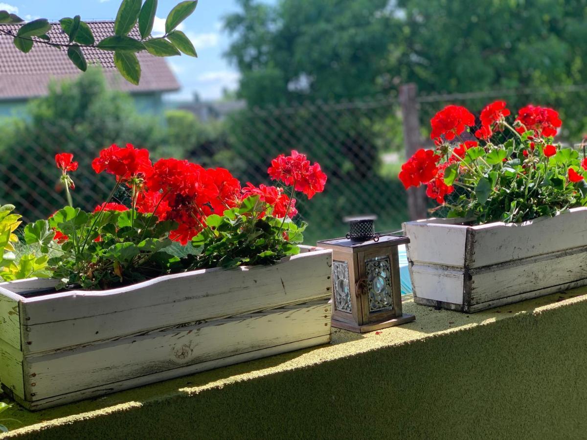 Apartmany Zeleny Dom Podhajska Luaran gambar