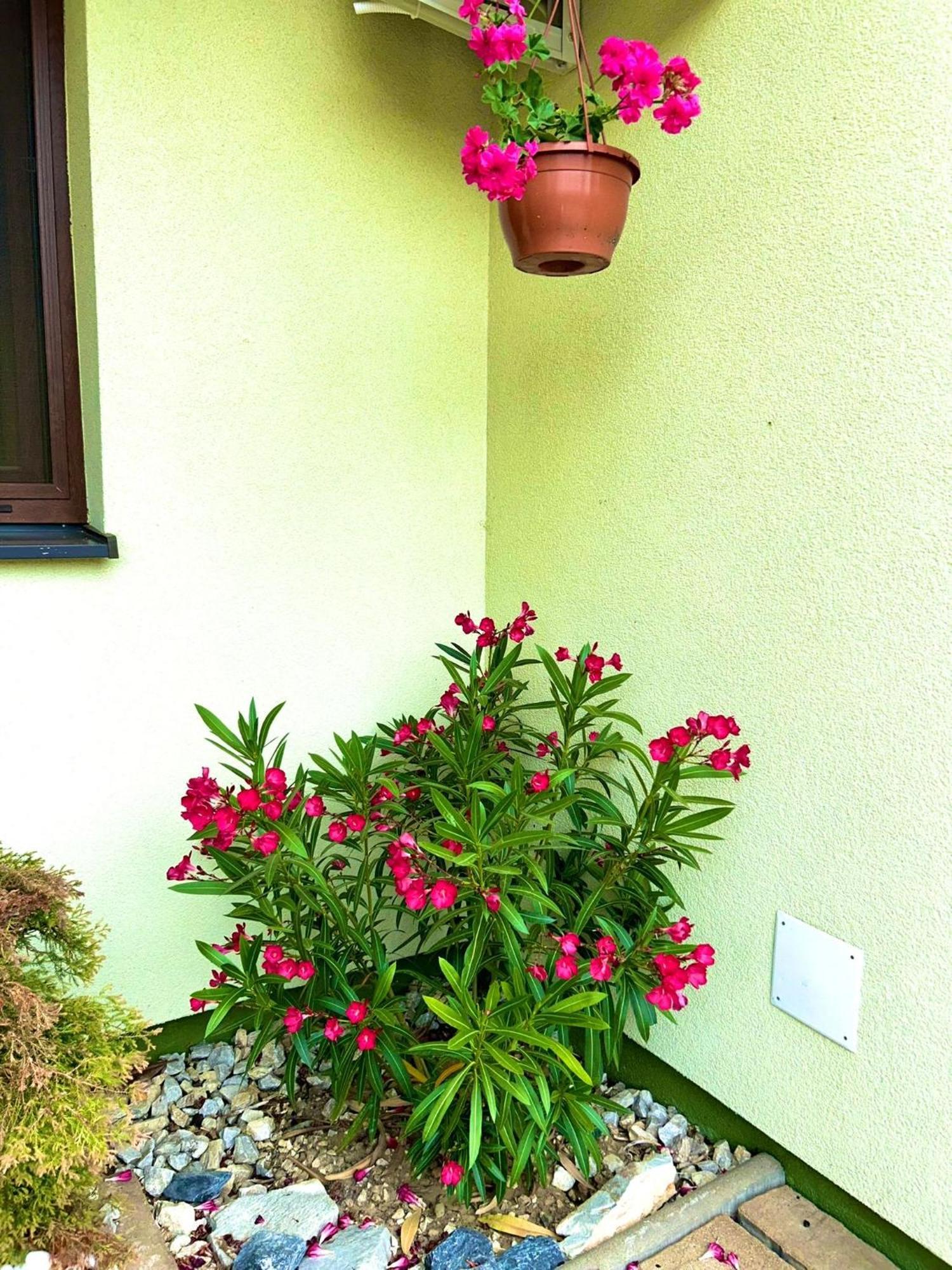 Apartmany Zeleny Dom Podhajska Luaran gambar